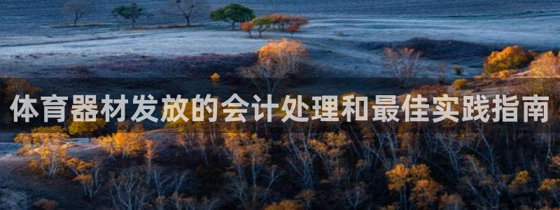 尊龙凯时取钱很慢：体育器材发放的会计处理和最佳实践指