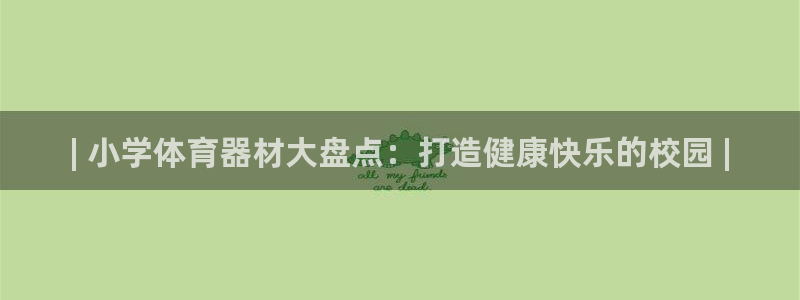 尊龙实业 吴友良：| 小学体育器材大盘点：打造健康快