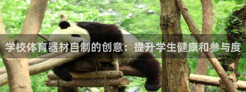尊龙传奇英文怎么写：学校体育器材自制的创意：提升学生