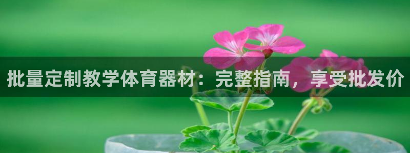 尊龙凯时最新平台登陆：批量定制教学体育器材：完整指南