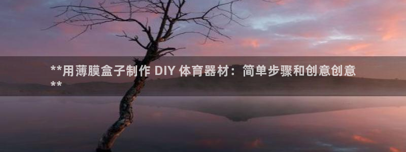 尊龙 am i blue：**用薄膜盒子制作 DIY