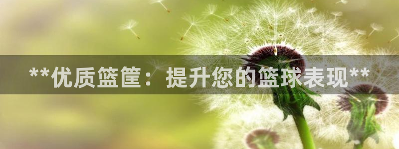 尊龙凯时app官网：**优质篮筐：提升您的篮球表现*