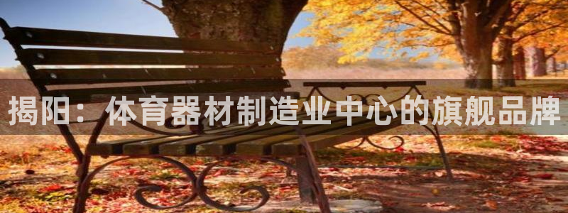 尊龙凯时代理：揭阳：体育器材制造业中心的旗舰品牌