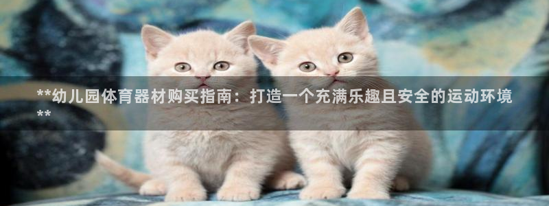 尊龙登录会员登录：**幼儿园体育器材购买指南：打造一