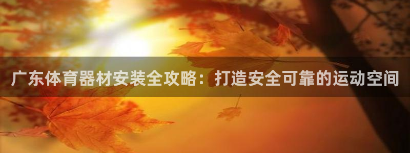 尊龙官网入口：广东体育器材安装全攻略：打造安全可靠的