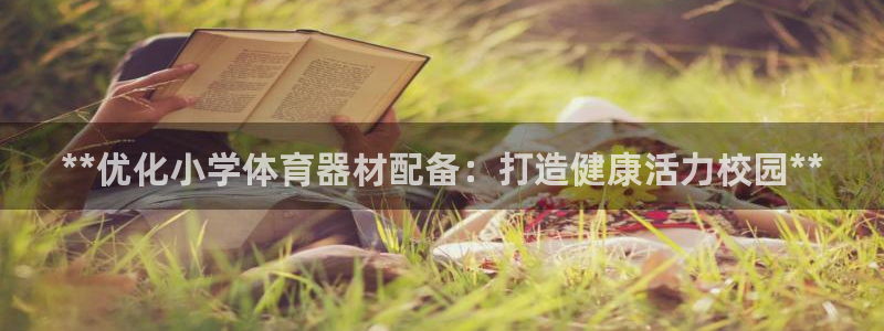 尊龙凯时几百万怎么下：**优化小学体育器材配备：打造