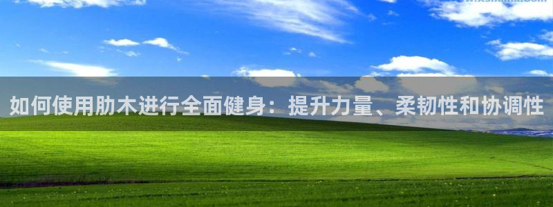 d88尊龙官方网：如何使用肋木进行全面健身：提升力量