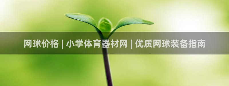 尊龙凯时注册：网球价格 | 小学体育器材网 | 优质