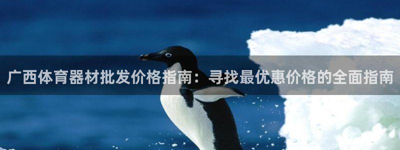尊龙官网国际：广西体育器材批发价格指南：寻找最优惠价