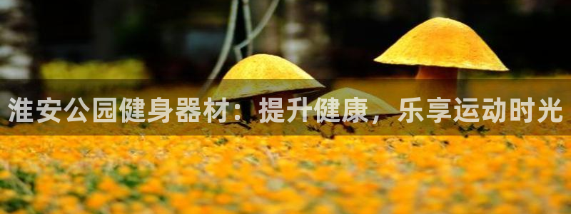 尊龙凯时官方网站：淮安公园健身器材：提升健康，乐享运