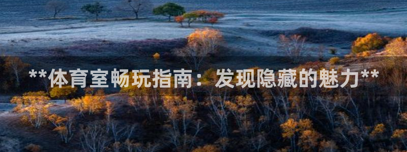 尊龙中国：**体育室畅玩指南：发现隐藏的魅力**