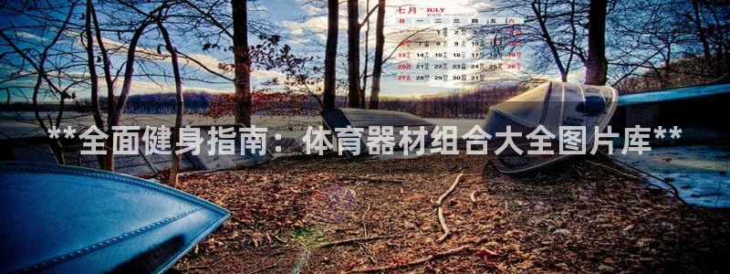 尊龙凯时 - 人生就是搏手机登录：**全面健身指南：