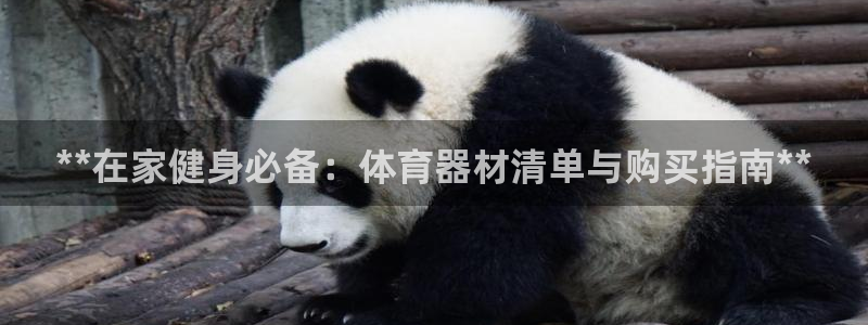 尊龙人生就是博旧版：**在家健身必备：体育器材清单与