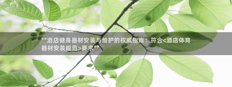 尊龙 5：**酒店健身器材安装与维护的权威指南：符合