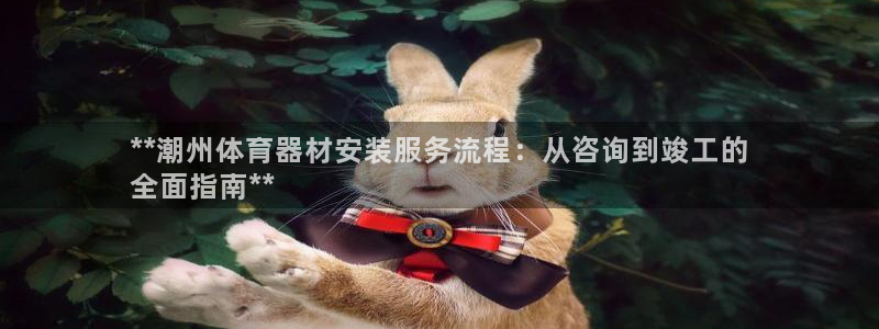 尊龙ktv怎么样：**潮州体育器材安装服务流程：从咨