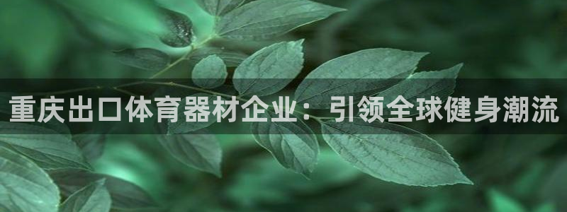 尊龙一人生就是搏：重庆出口体育器材企业：引领全球健身