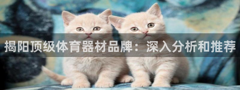 尊龙手机版下载：揭阳顶级体育器材品牌：深入分析和推荐