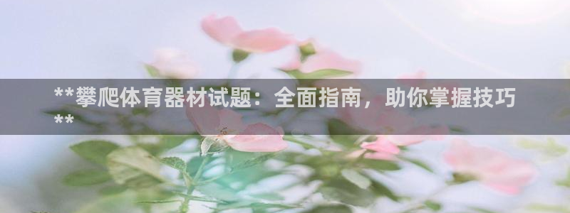 尊龙凯时城娱乐：**攀爬体育器材试题：全面指南，助你