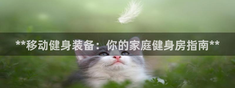尊龙凯时能做退米么：**移动健身装备：你的家庭健身房