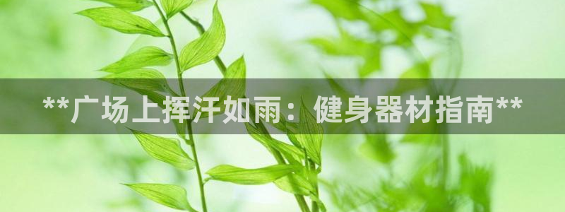 新版尊龙99：**广场上挥汗如雨：健身器材指南**