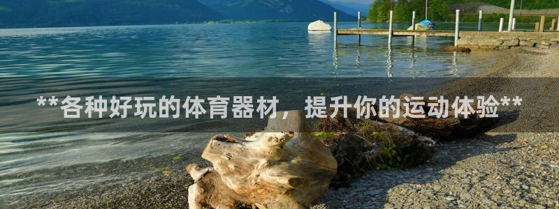 ag尊龙官方网站app：**各种好玩的体育器材，提升
