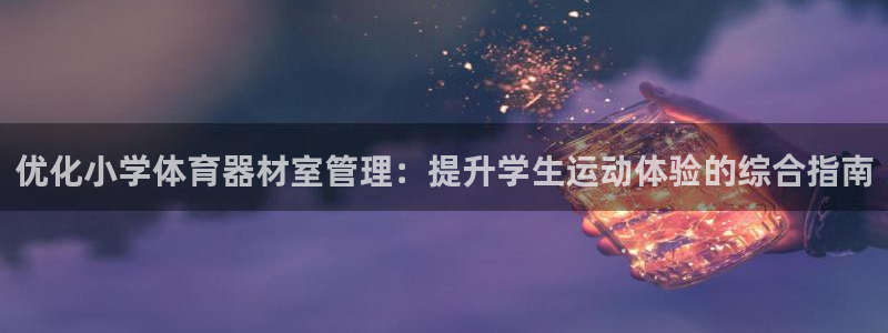 尊龙凯时开发：优化小学体育器材室管理：提升学生运动体
