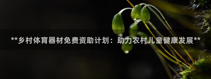 尊龙d88平台版下载：**乡村体育器材免费资助计划：