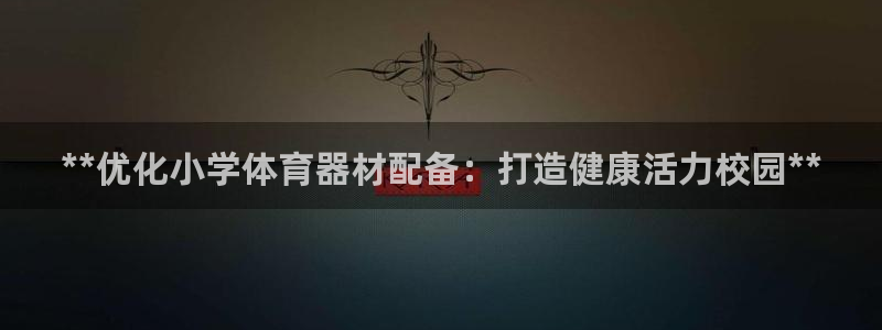 尊龙凯时提现不了：**优化小学体育器材配备：打造健康