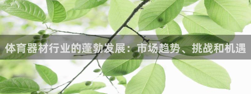 尊龙凯时 人生就是搏：体育器材行业的蓬勃发展：市场趋