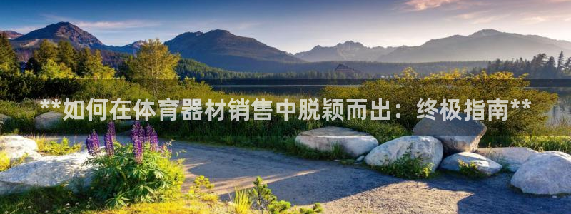 尊龙凯时人生就是搏官：**如何在体育器材销售中脱颖而