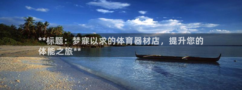 尊龙ag旗舰厅下载：**标题：梦寐以求的体育器材店，