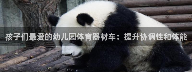 尊龙凯时国际：孩子们最爱的幼儿园体育器材车：提升协调