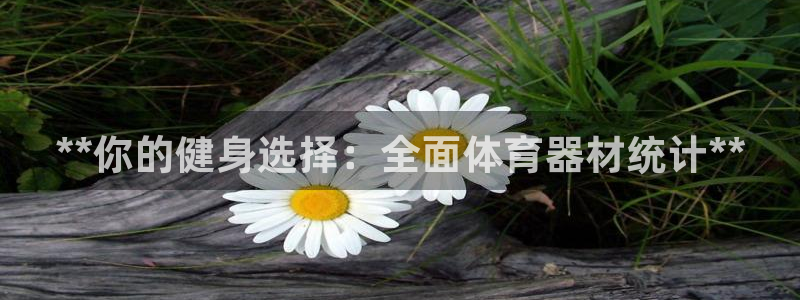 尊龙 6：**你的健身选择：全面体育器材统计**