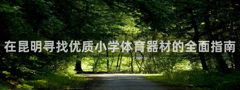 尊龙网页：在昆明寻找优质小学体育器材的全面指南