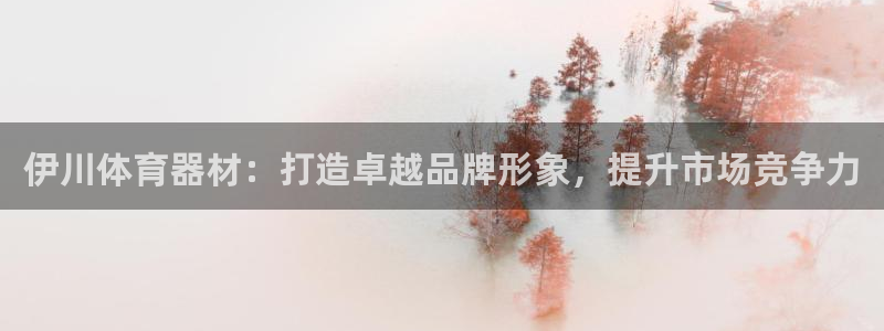 尊龙内地：伊川体育器材：打造卓越品牌形象，提升市场竞
