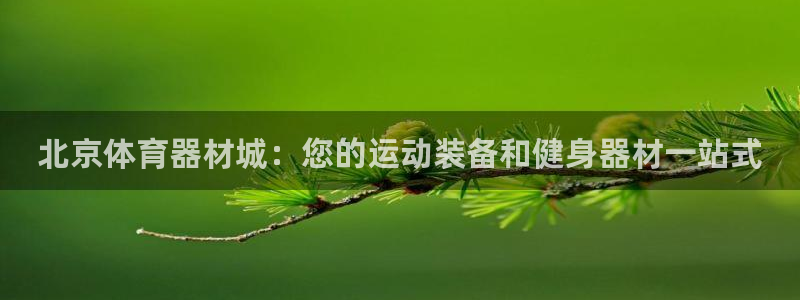 凯时国际app首页登录：北京体育器材城：您的运动装备