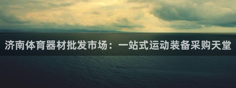 尊龙集团官网：济南体育器材批发市场：一站式运动装备采