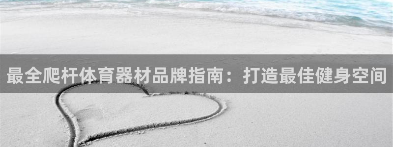 尊龙电子：最全爬杆体育器材品牌指南：打造最佳健身空间