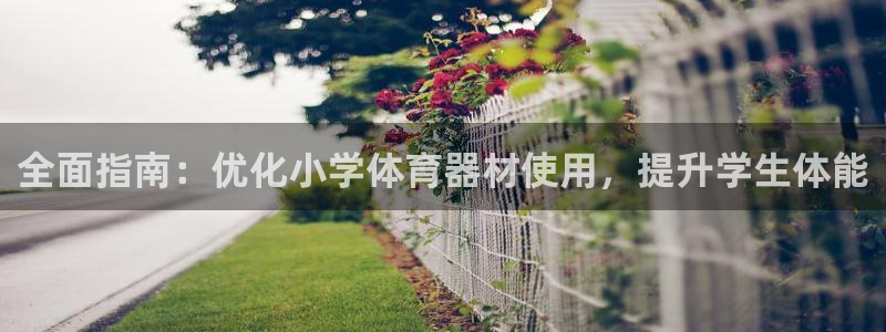 尊龙凯时老板是谁：全面指南：优化小学体育器材使用，提