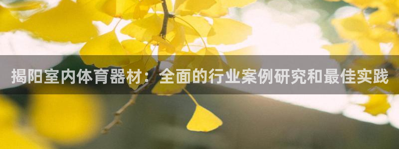 尊龙是什么软件：揭阳室内体育器材：全面的行业案例研究
