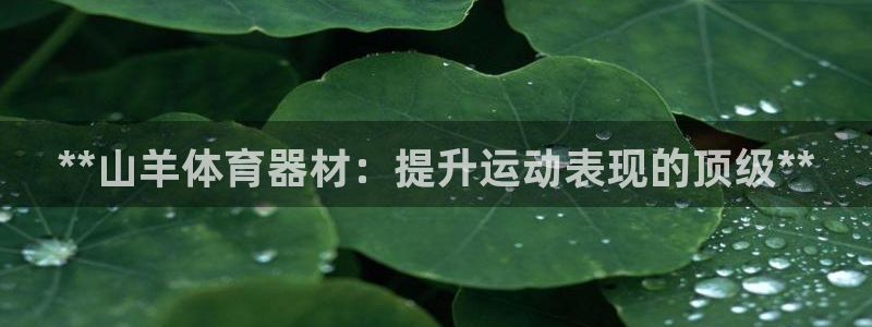 凯时游戏app：**山羊体育器材：提升运动表现的顶级