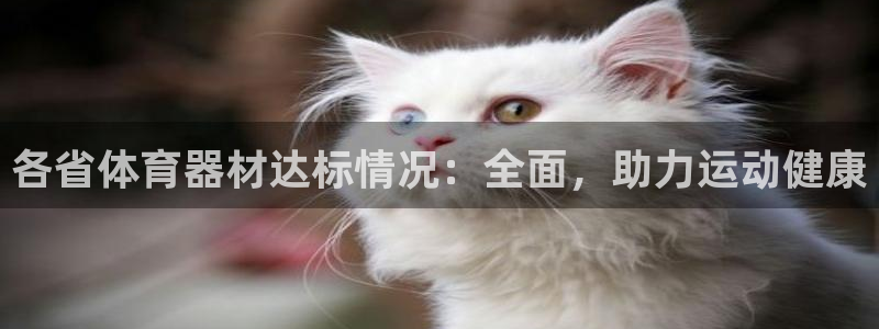 尊龙官网下载：各省体育器材达标情况：全面，助力运动健