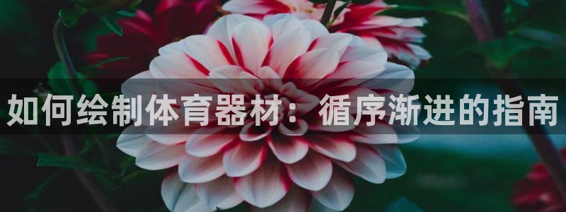 尊龙网址登录官网：如何绘制体育器材：循序渐进的指南