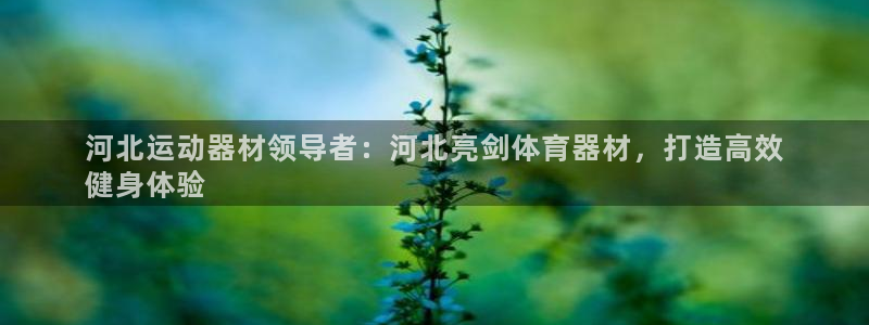尊龙凯时提不了款：河北运动器材领导者：河北亮剑体育器