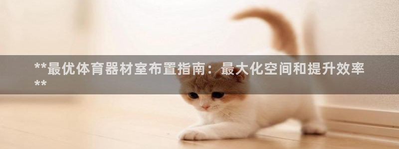 尊龙下载推荐网站：**最优体育器材室布置指南：最大化