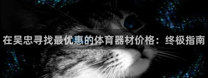 尊龙凯时登陆入口：在吴忠寻找最优惠的体育器材价格：终