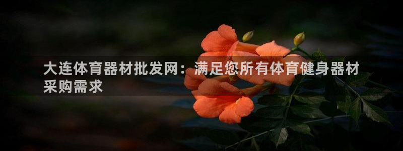凯时a88：大连体育器材批发网：满足您所有体育健身器