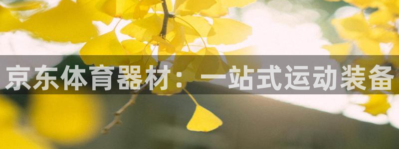 尊龙z6：京东体育器材：一站式运动装备