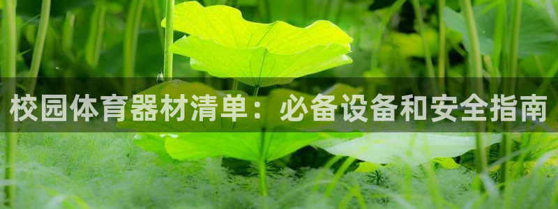 尊龙凯时可以提现吗：校园体育器材清单：必备设备和安全