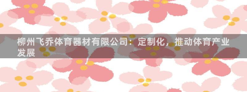 尊龙凯时导航菜单首页：柳州飞乔体育器材有限公司：定制